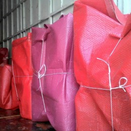 12666464_10153849328929437_425800586_n